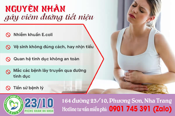 Nguyên nhân bị viêm đường tiết niệu ở nữ