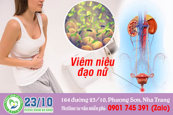 Viêm niệu đạo